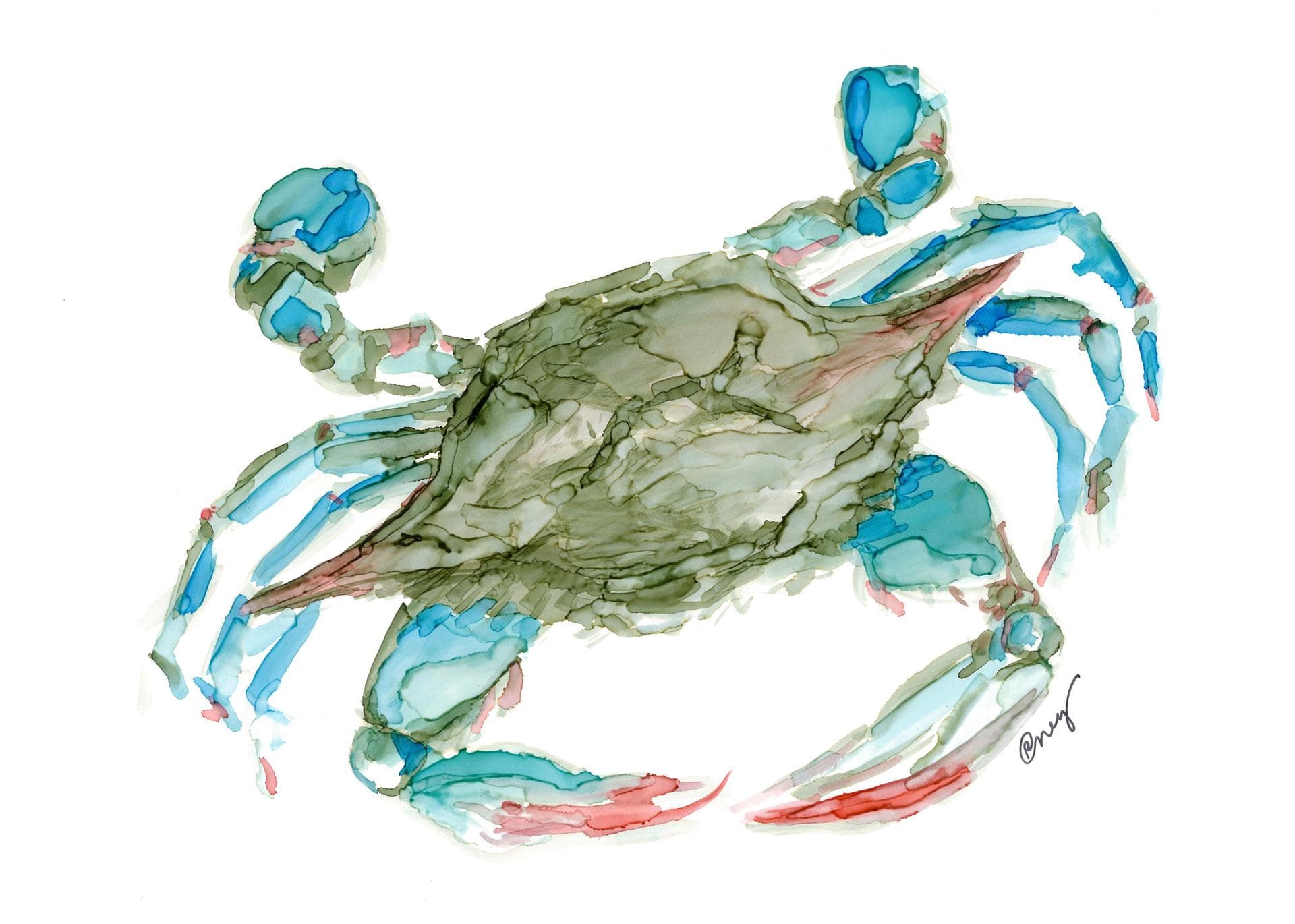Blue Crab